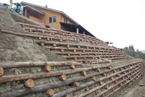 contenimento in pali di castagno