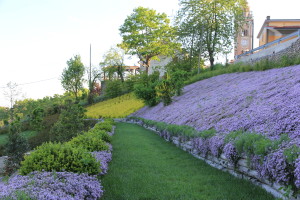 conterno primavera 2012 (8)